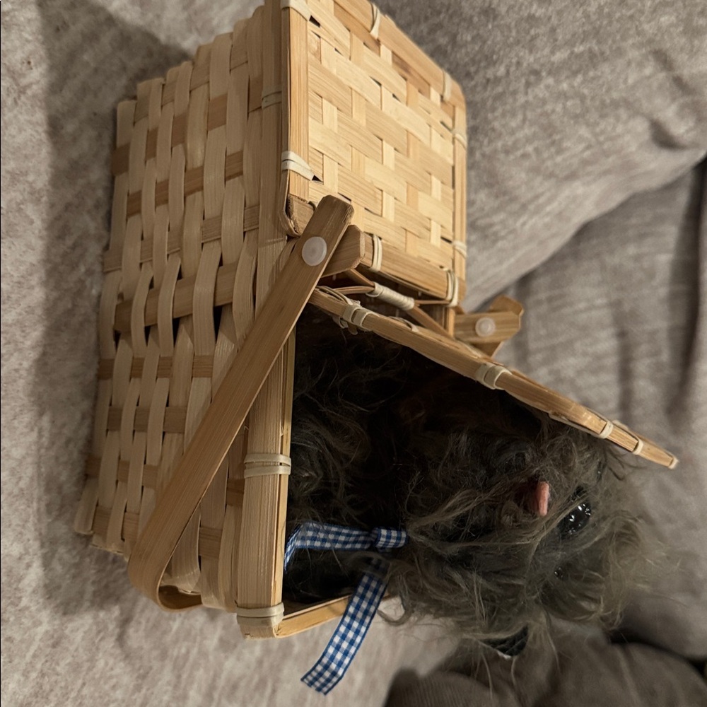 Woven Basket with Plush Toy